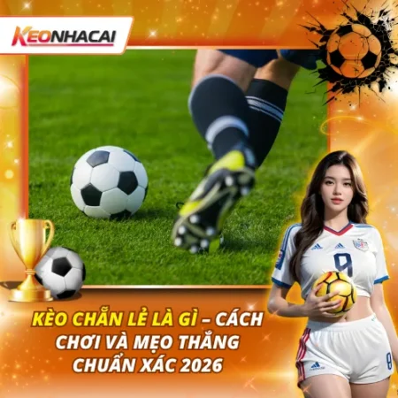 Kèo Chẵn Lẻ Là Gì – Cách Chơi Và Mẹo Thắng Chuẩn Xác 2026