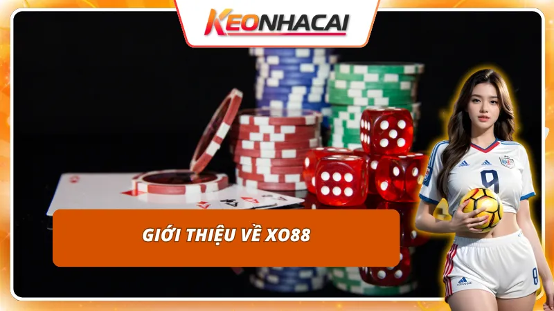 Cái nhìn chi tiết nhất về nhà cái XO88